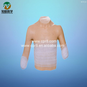 BIX-LV13 High-Order <strong>Medica</strong> Manikin Clearly Structured Senior Bind-Up Model for Hospital Clinic College Comparative Observation - Product Image 2