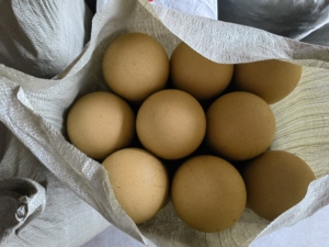 Hot Bán 2.535681012 Inch Dày Pháo Hoa Giấy Bán Cầu Giấy Vỏ Hiển Thị Vỏ Pháo Hoa Bìa Pháo Hoa Giấy Vỏ - Product Image 6