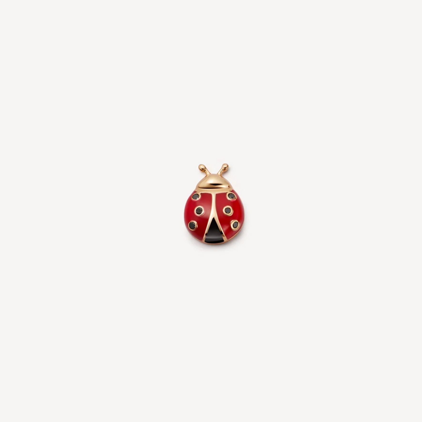 Accessoires petite coccinelle