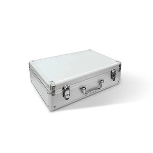 3000Hz DDS bioélectrique bureau ABS soulagement de la douleur méridien thérapie métabolisme Booster beauté santé Machine pour appareil de Massage - Product Image 6