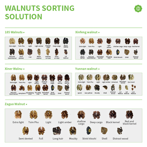 WESORT Hersteller S2B10-AA AI Walnuss Sortiermaschine Nuss Farb sortiermaschine eignet sich für alle Arten von Nuss Materialien Sortierung - Product Image 3