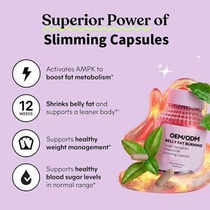 Factory Boost Metabolism Help Weight Management Green Tea Extract Vitamins <strong>B6</strong> Belly Fat Burning Slimming <strong>Capsules</strong> - Product Image 4