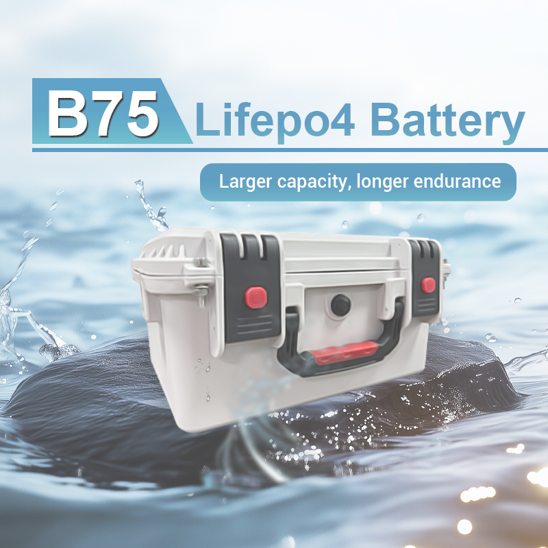 Batterie B75