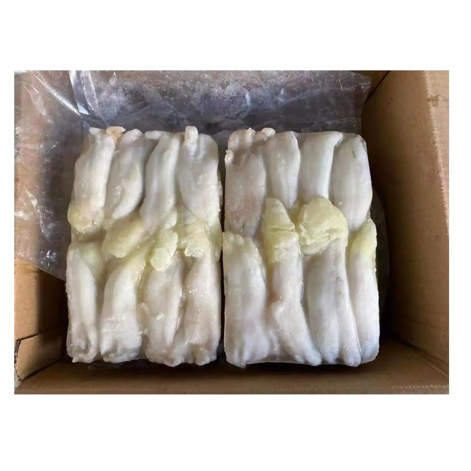 M36 Illex uova di calamaro indiano bianco congelato di alta qualità