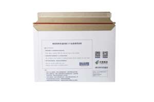 新型牛皮纸纸板信件和文件信封附有装箱单袋 - Product Image 4