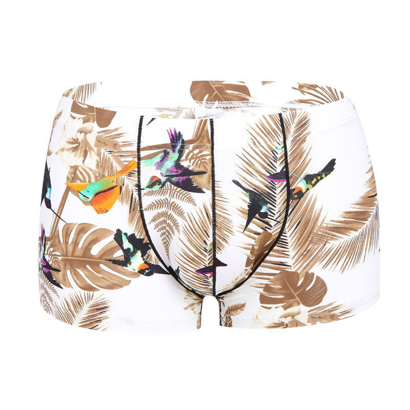 Oiseaux de la jungle