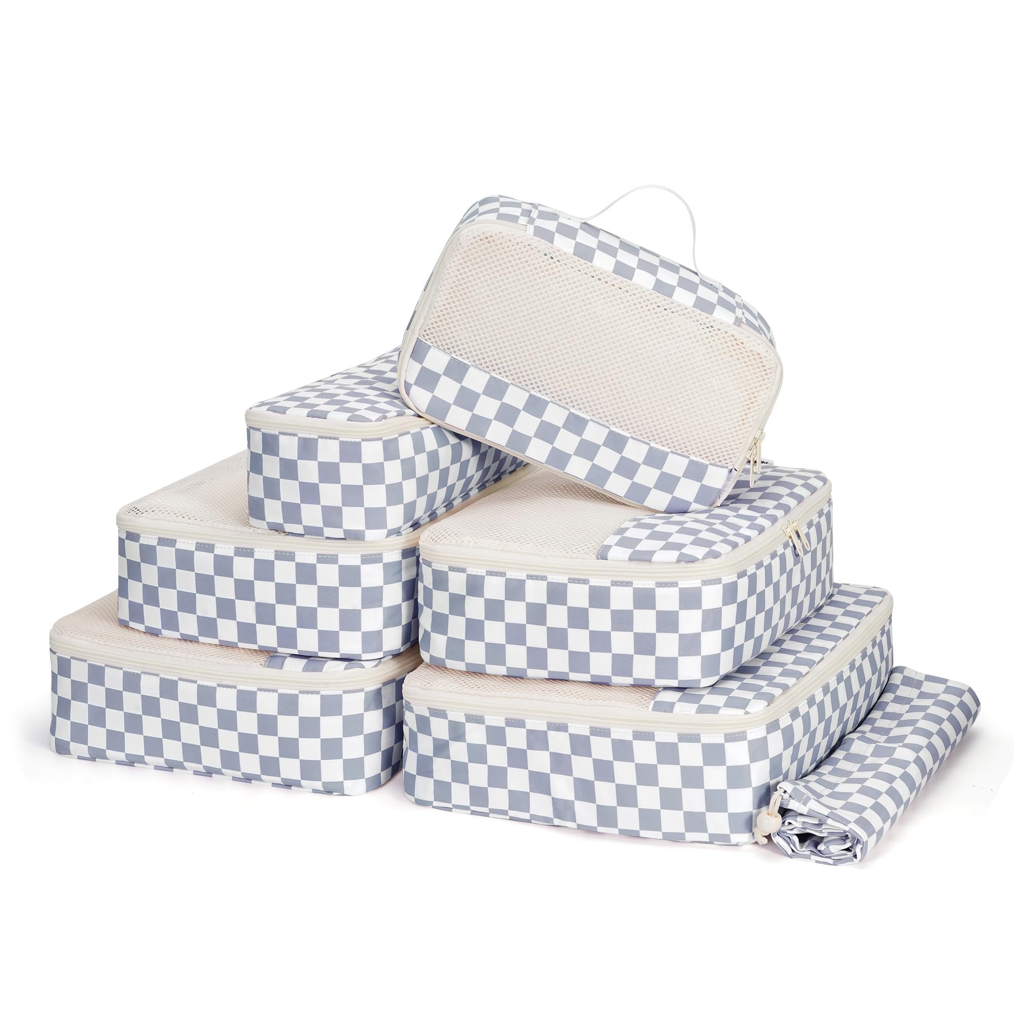 Damier bleu grisâtre