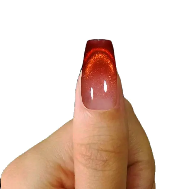 Polvere di pigmento effetto magico 3D unghie occhi di gatto ombra di qualità cosmetica per Nail Art pigmento in polvere