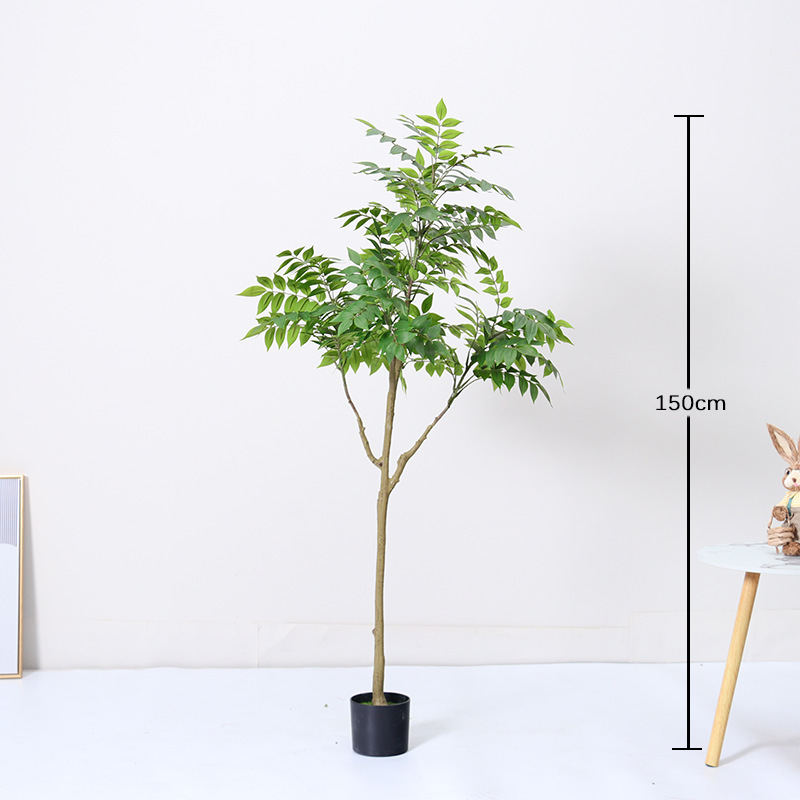 Bois laqué - 150cm
