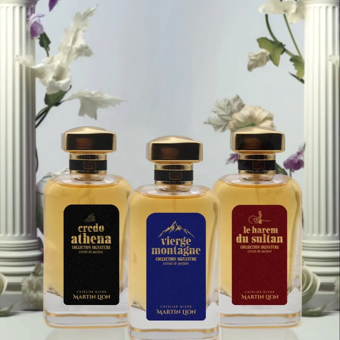 Pronto per la spedizione di lunga durata 50 ml profumo turco fatta fabbrica più venduto Parfum con il prezzo a buon mercato profumo femminile