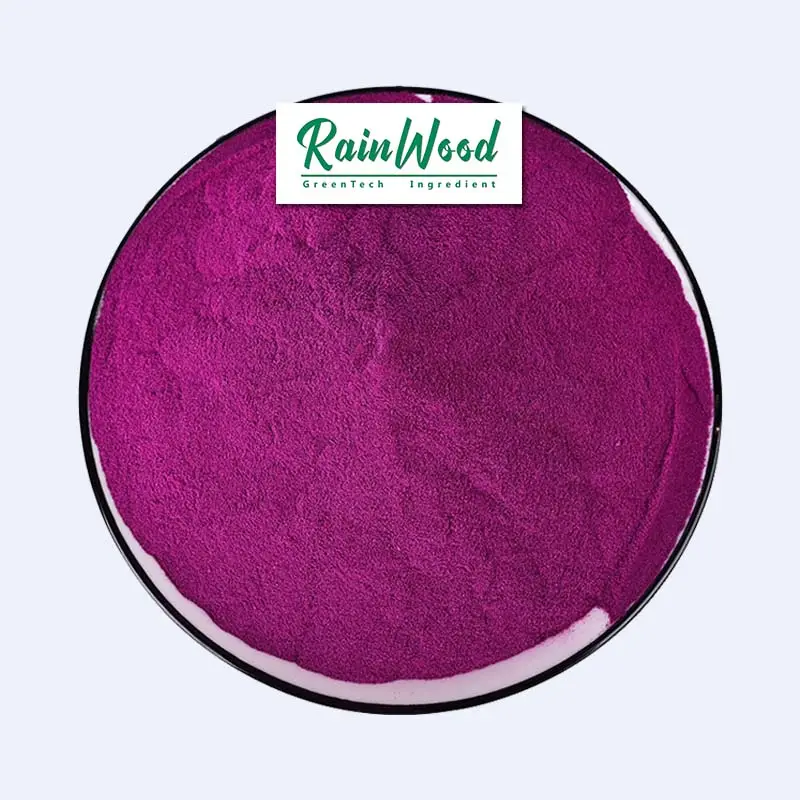 レインウッドは高品質の紫色のサツマイモ粉末を供給