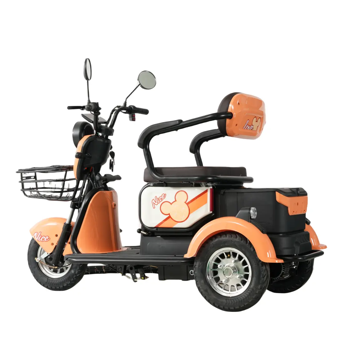 China Trade Electric Bike 3 Wheels Tricycles with Roof Electric Scooter for Adult Tricycle