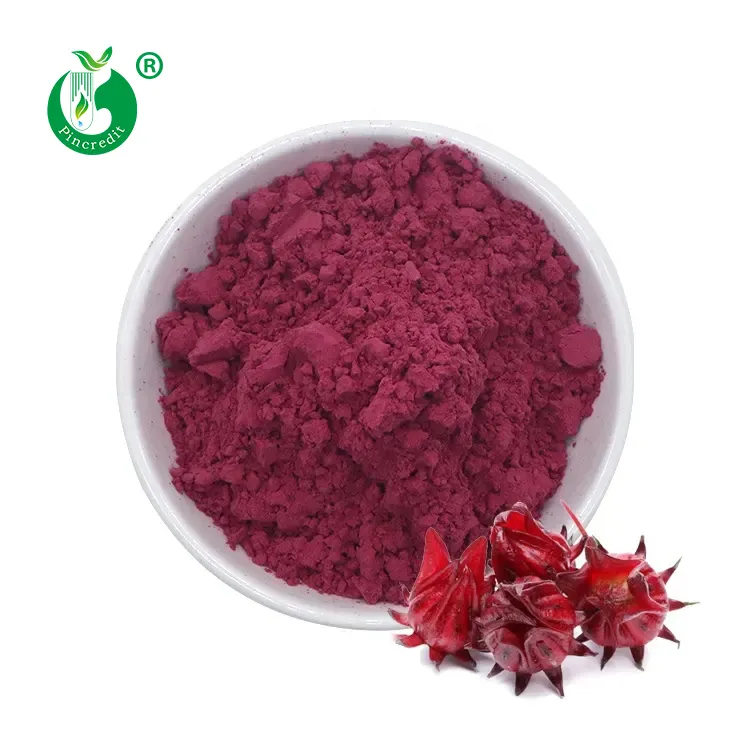 Extrait de fleurs de Hibiscus séchées, 100% naturel, organique, en poudre de roselette Miniature, Sabdariffa, 1 pièce