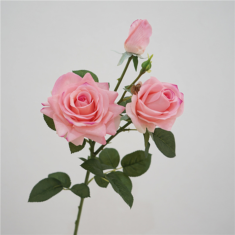 Rosa oscuro