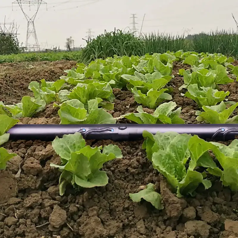 Kit system irrigation agricole tuyau ruban d'irrigation goutte goutte 16 mm