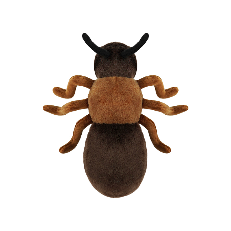 Ant