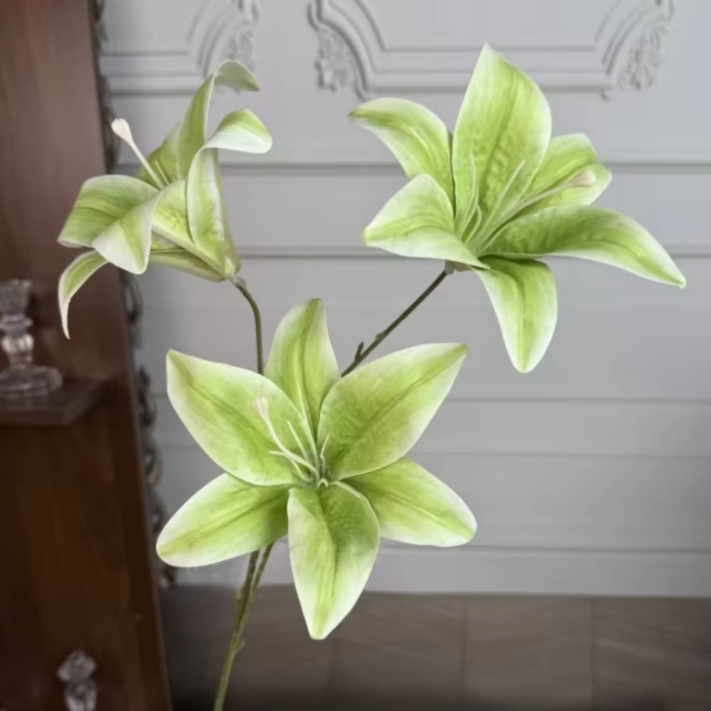 3 head lily
