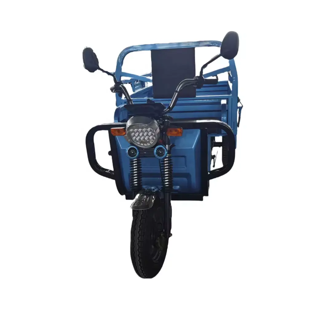 Fabriek Directe Verkoop China Goedkope Elektrische Driewieler Motorfiets 3 Wiel Elektrisch Voertuig