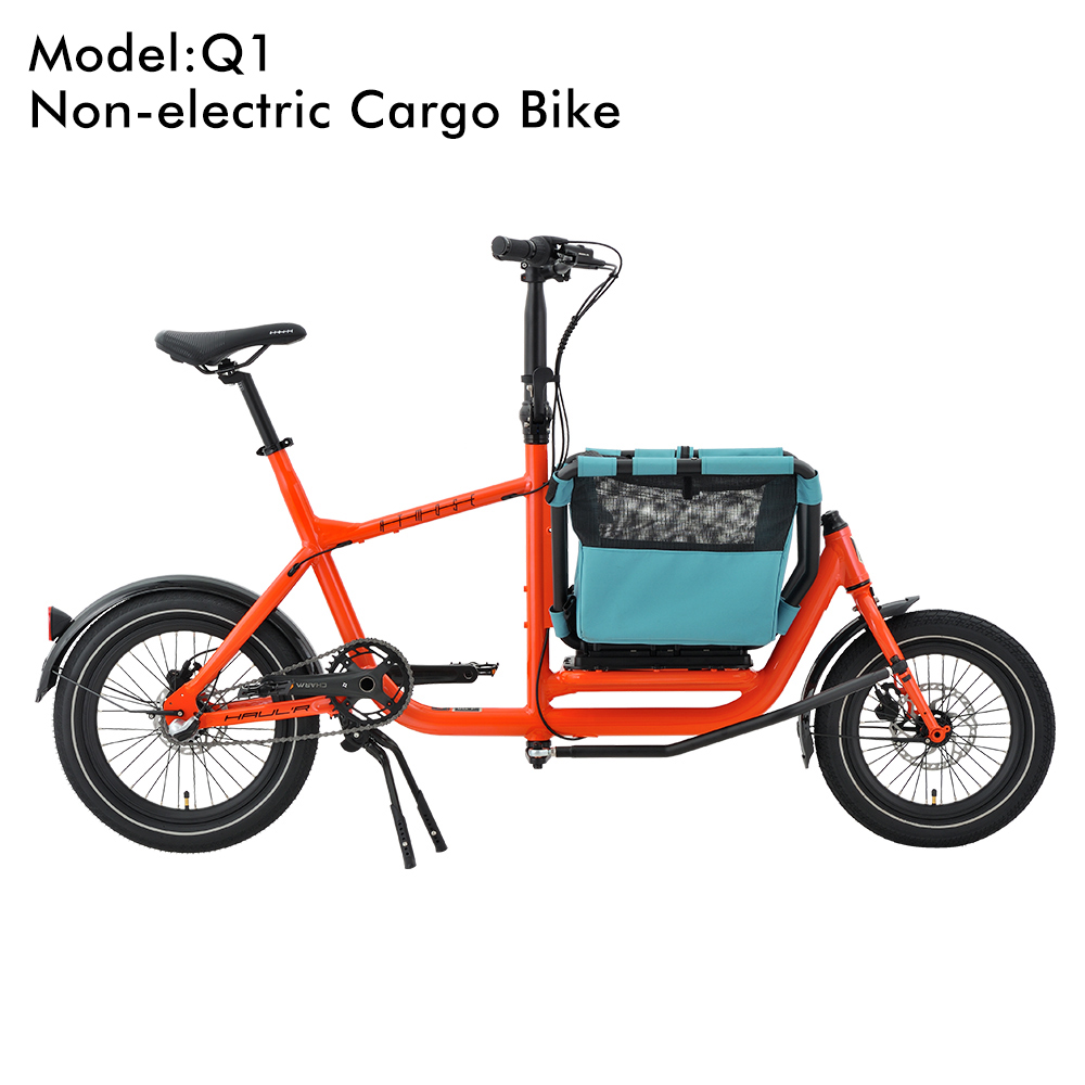 Q1_Orange
