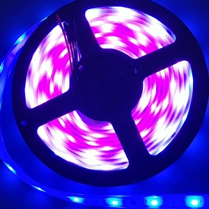 RGB SMD5050 programlama DMX512 dijital led şerit esnek tam renkli şerit aydınlatma