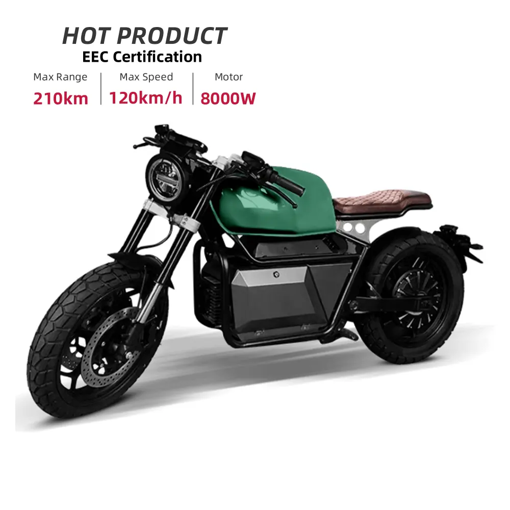 Prive Model Eec 220V Hoge Snelheid 120 Km/h 8000W E Motor Volwassen Elektrische Motorfiets