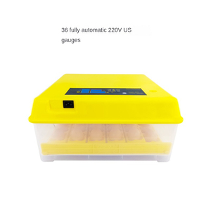 Küçük ev 36 otomatik Mini çok fonksiyonlu inkübatör 156 adet tavuk ve ördek yumurta kuluçka kutuları yeni durum - Product Image 1