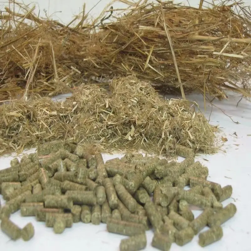 Pellet di legno fatta in casa per la vendita erba elettrico macchina a pellet