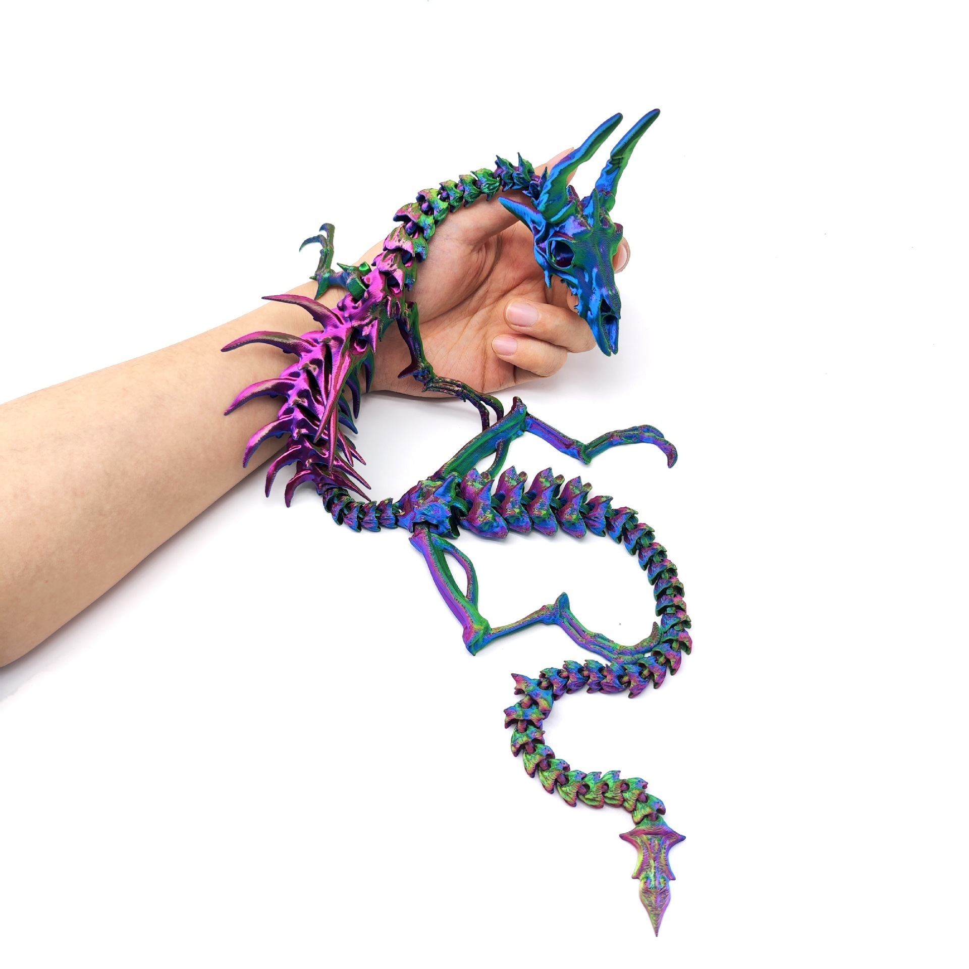Dragon aux os irisés