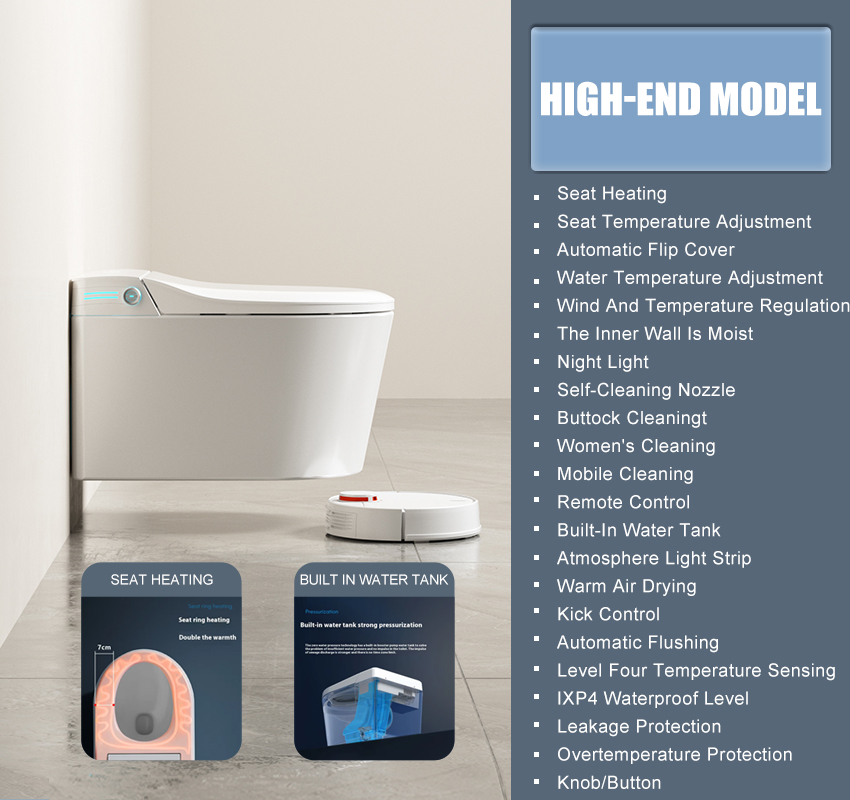 HIGH-END MODEL