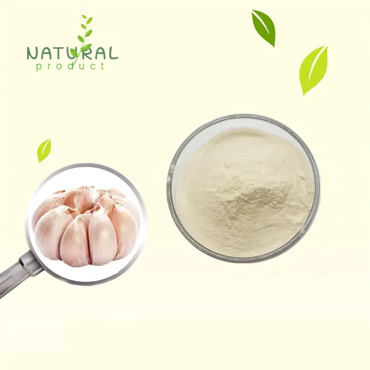 Wholesale garlic polysaccharide 30%/50%/80%/98% natural garlic extract powder