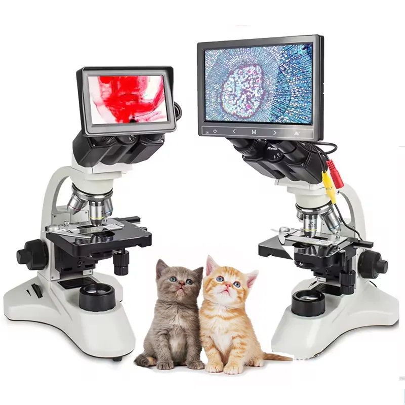 China Goedkope Veterinaire Biologische Stereoscopische Microscoop Lcd Heldere Beeldvorming Medische Lab Binoculaire Microscoop Met Camera