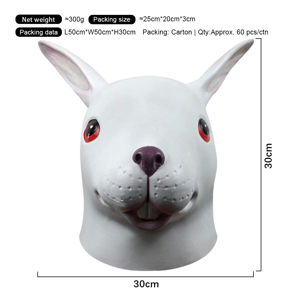 Lapin blanc