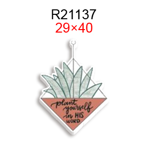 R21137