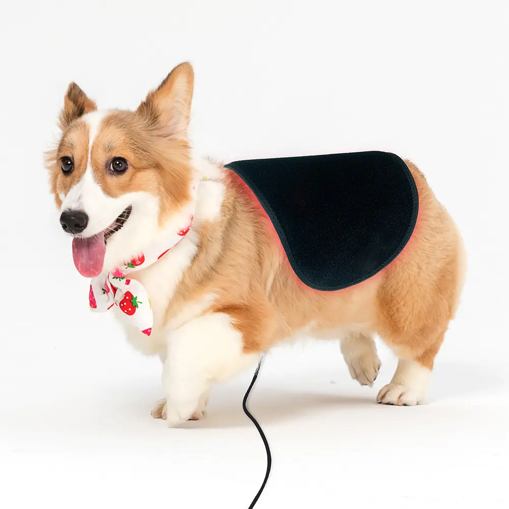 Suyzeko 2023 New Arrival Body Dog Red Relaxamento Animal Light Therapy Personalizado Led Infravermelho Calor Lamp Belt para Uso Doméstico