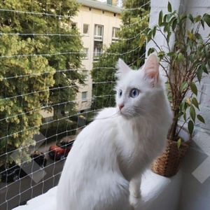 Hot Sale Strong Nylon HDPE PP PE Transparent <strong>Mesh</strong> Safety <strong>Net</strong> Heavy Duty Cat Balcony Window Fall Protector <strong>Custom</strong> Cutting Service - Product Image 2