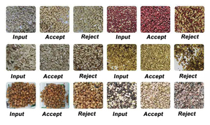 Almond <strong>Sorting</strong> <strong>Machine</strong> Almond Nuts Sorter Color <strong>Sorting</strong> <strong>Machine</strong> <strong>for</strong> Nuts <strong>and</strong> <strong>Shell</strong> Separation in Greece - Product Image 6