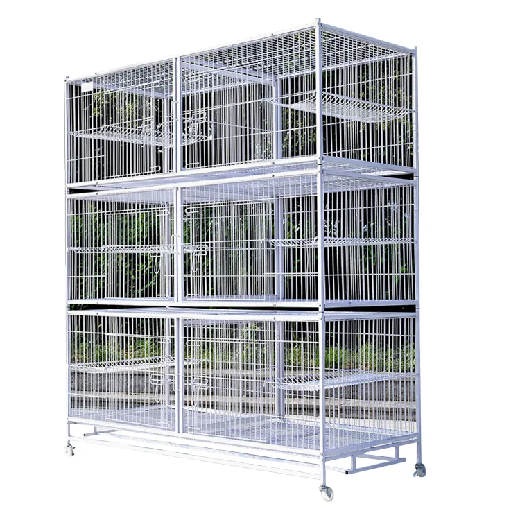 Chenil d'élevage de chiens et de chats en métal en gros cages pour animaux de compagnie de haute qualité petite grande cage pour chat intérieure