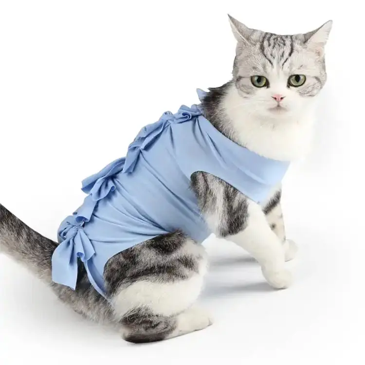 Pantalon physiologique de stérilisation pour animaux de compagnie Tissu de récupération postopératoire et sevrage de chat femelle Vêtements anti-léchage pour chat