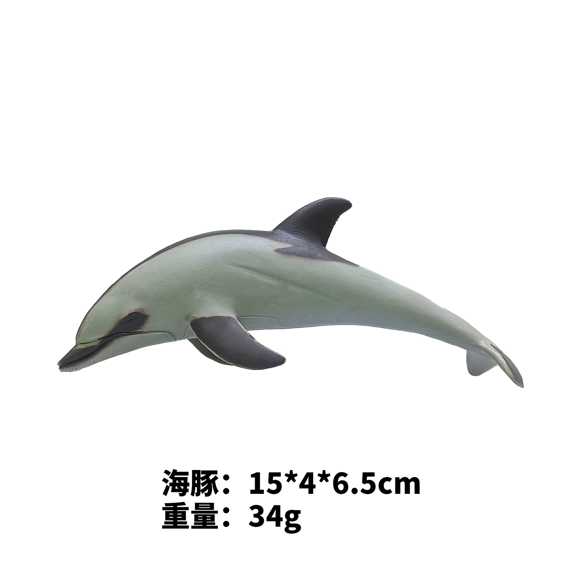 7-inch Dolphin