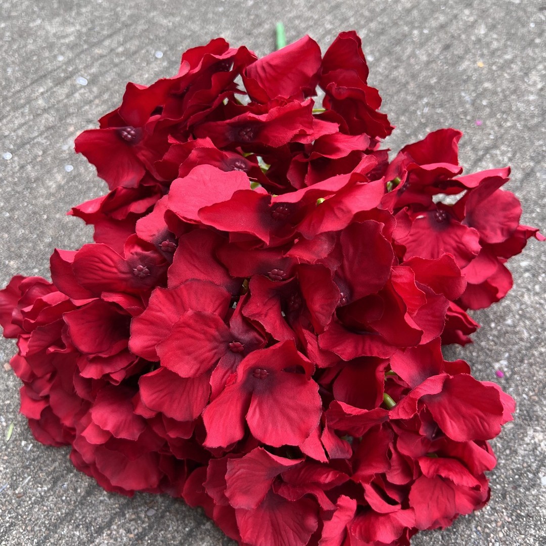 5 head rhine hydrangea red