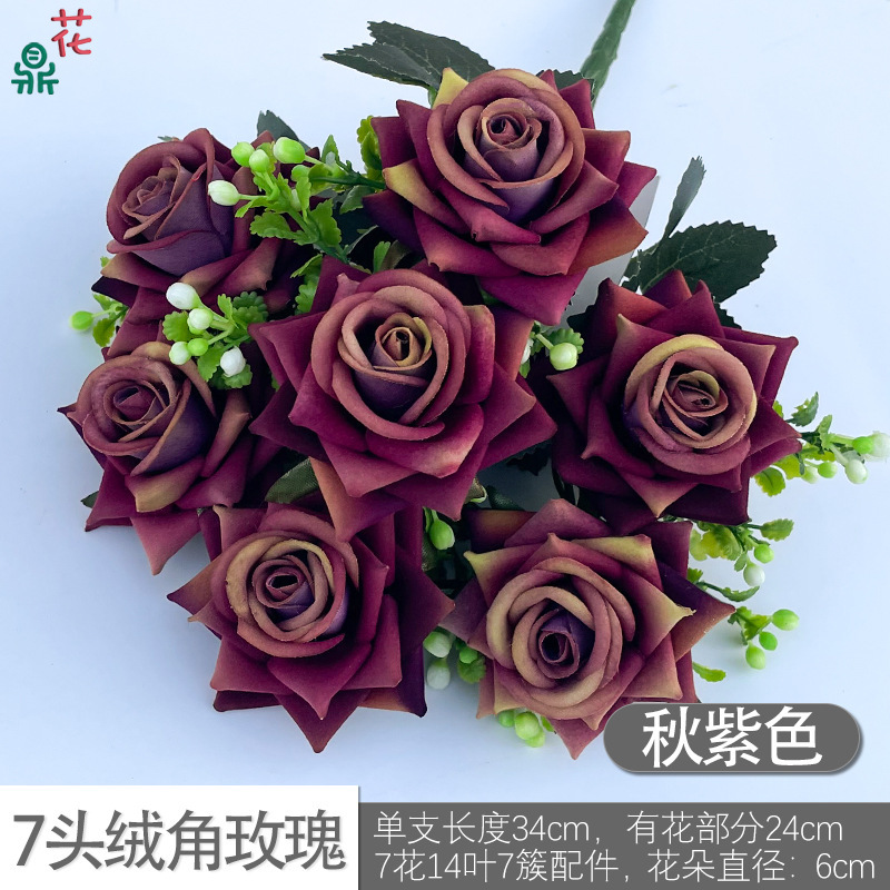 7-head velvet corner rose DG สีม่วงฤดูใบไม้ร่วง