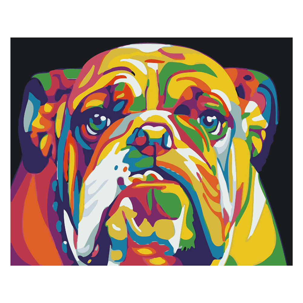 323 chien starling coloré