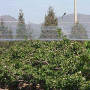 Red para pájaros, venta al por mayor, resistente a la erosión, poliéster duradero, red para pájaros blancos, nailon, HDPE, red antipájaros anudada transparente