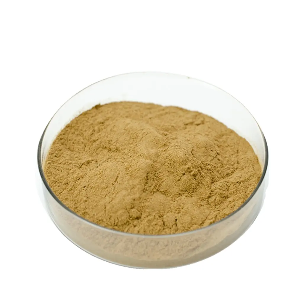 Factory Supply Bulk High Quality Natural Dried Corn Silk Extract Powder