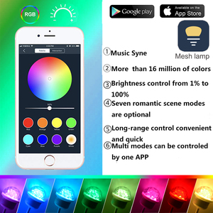 OEM intelligente LED Lichtstränge Gartenbeleuchtung Girlande Musik Synchronisation Farbwechsel Glühbirne APP Gruppensteuerung Timer RGB LED Stringlicht - Product Image 2
