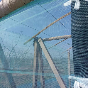 Rete bianca e verde della finestra della zanzariera della fibra di vetro della rete dell'insetto della frutta della maglia della rete dell'insetto