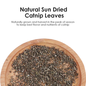 OEM High Quality Cat Mint 100% Natural Dried <strong>Catnip</strong> Leaves <strong>Catnip</strong> Powder No Additive Pure <strong>Catnip</strong> - Product Image 3