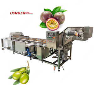 Gelgoog Red datteri di lavaggio linea di lavorazione del pomodoro e macchina di smistamento per il lavaggio delle olive - Product Image 5