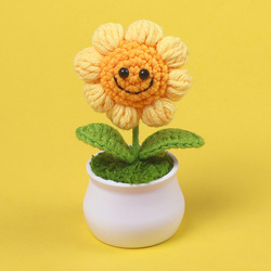 4-circle smiley potted plants