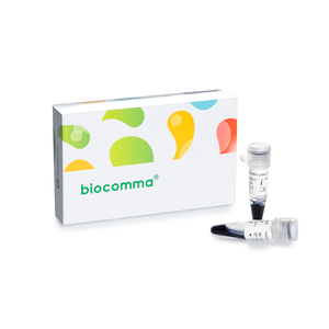 Biocomma250マイクロリットルカラフルな10-250KDaプレステンドプロテインラダー (核酸電気合成分析試薬用) - Product Image 1